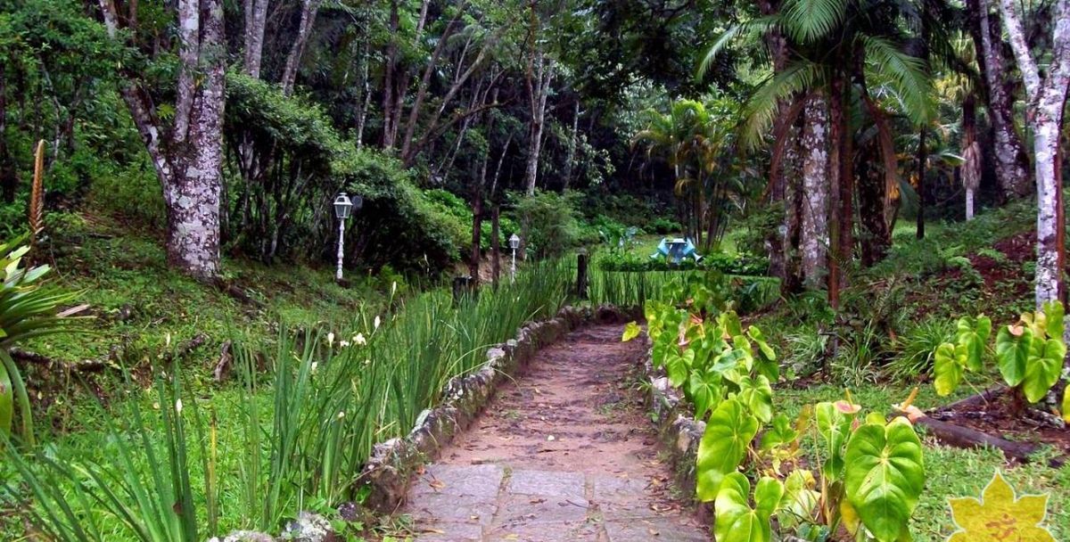 Alameda de pedra pelos jardins da propriedade