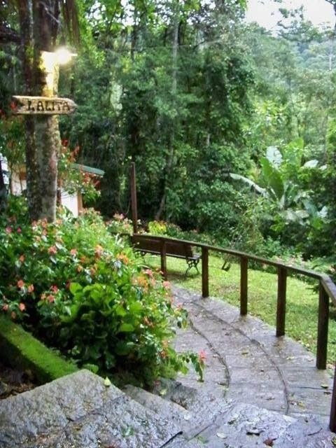 Caminho florido chegando ao Chalé Lalita — Chalé Lalita, Gaura Mandir, Teresópolis