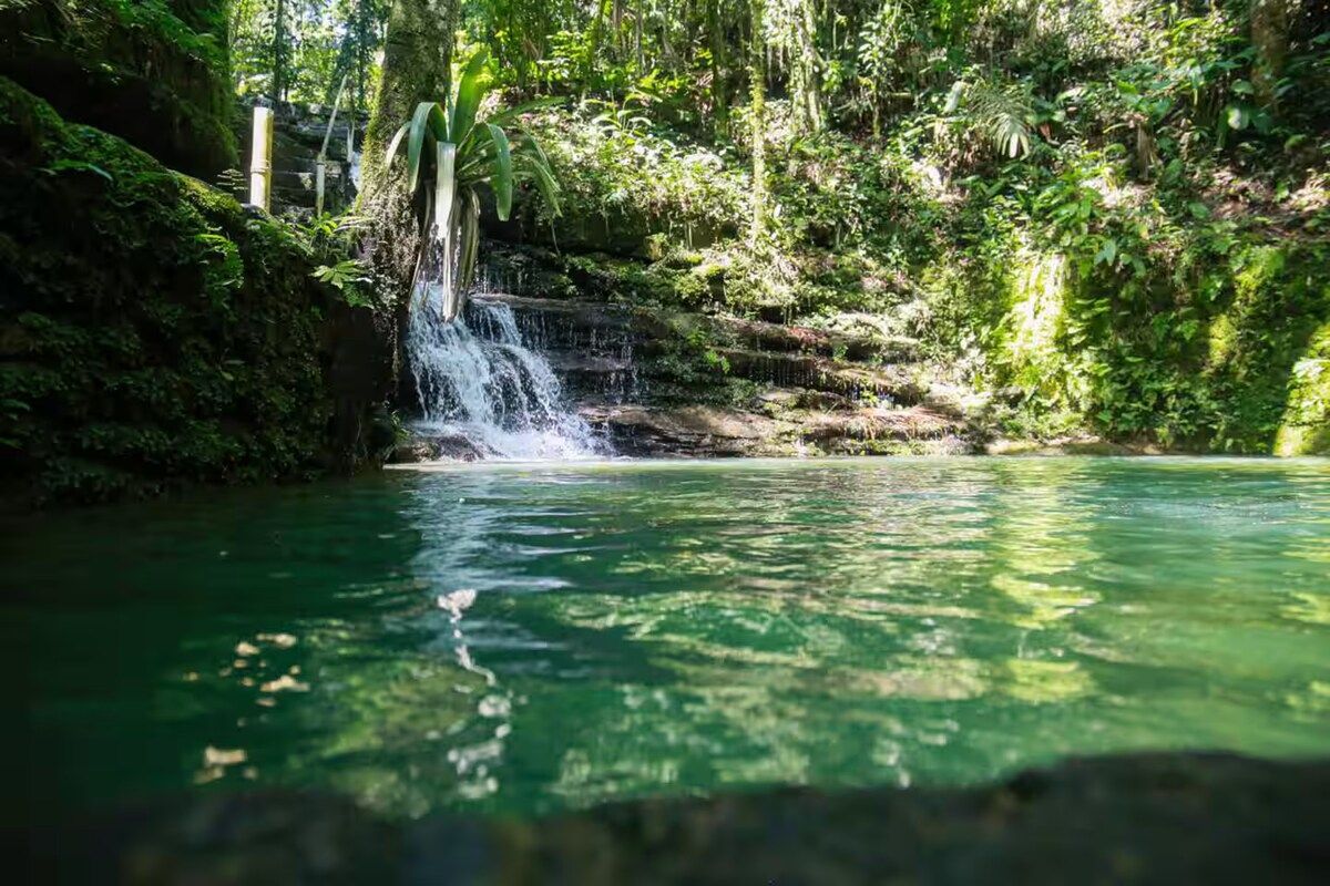 Piscina natural de água esmeralda formada pela cachoeira